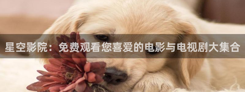 午夜影院官网下载