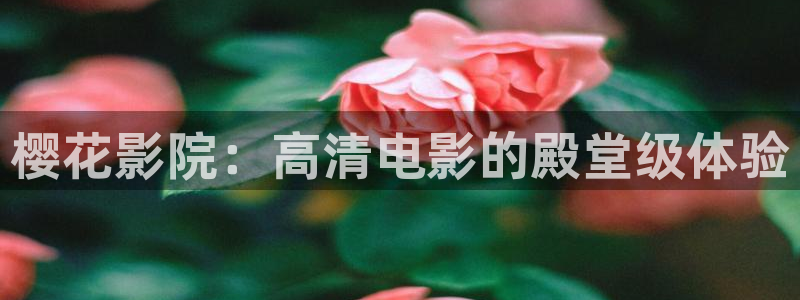 星空无限传媒免费高清观看