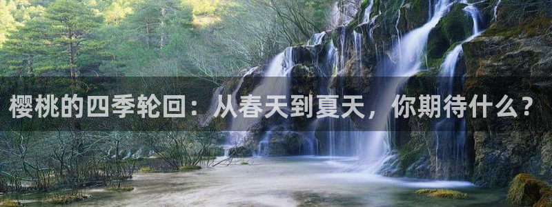 午夜影院动漫免费观看
