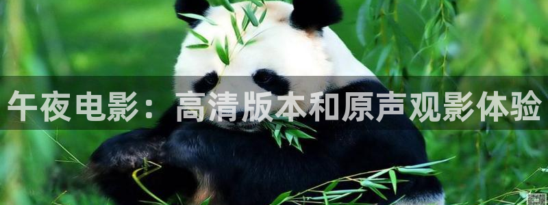 星空视频电影在线观看