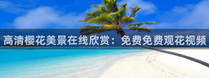 午夜影院免费观看电视剧手机怎么看