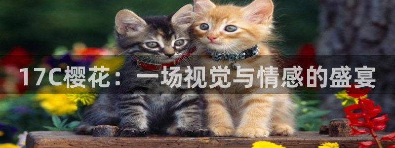 午夜影院电影电视剧免费播放