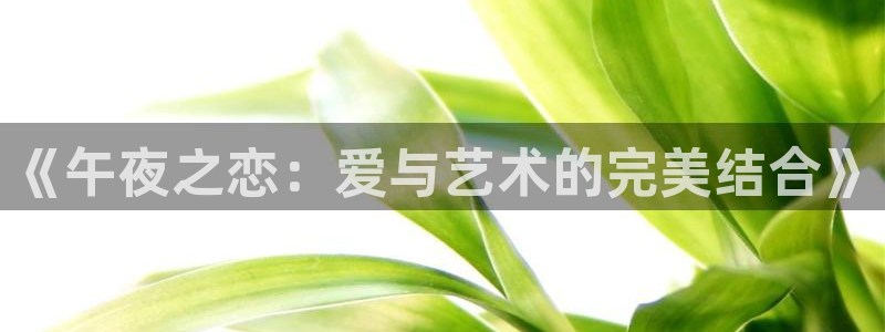 星空游戏
