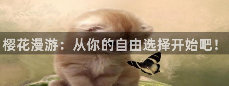 星空影视伦理片