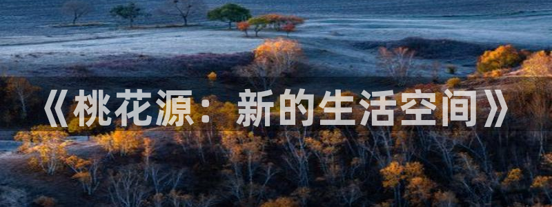 在线观看午夜影院