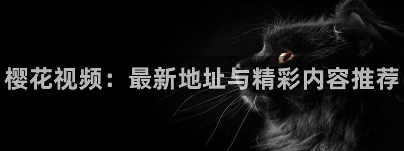 午夜影院软件