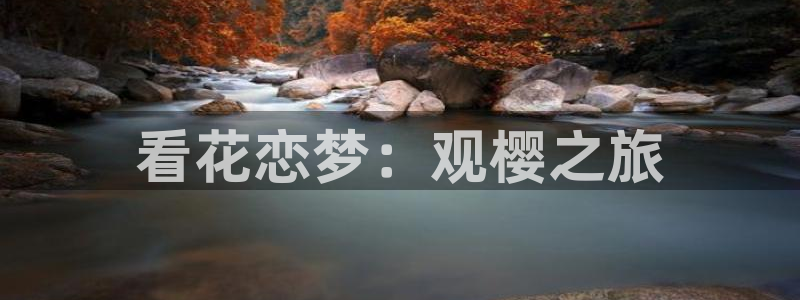 星空mv视频免费观看