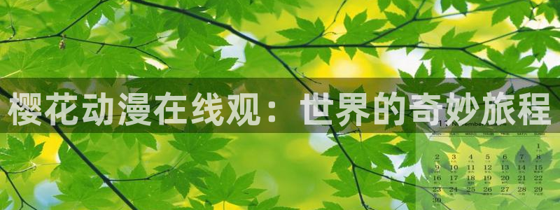 星辰视频高清在线看免费 午夜影院
