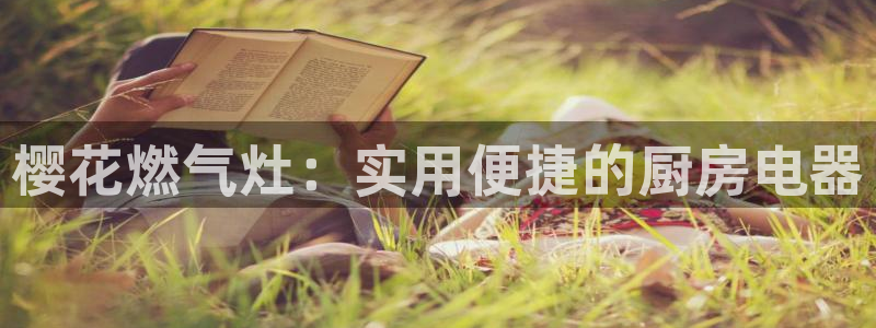 星空下的少年动漫电影免费观看
