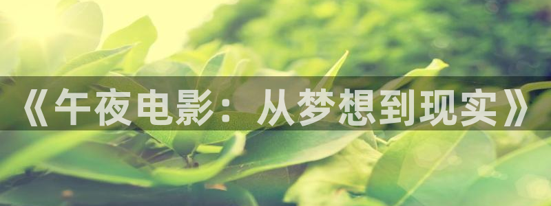 午夜影院高清免费观看电影