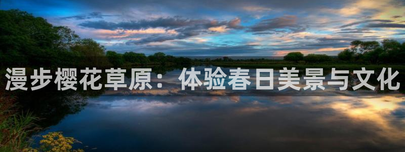 星空影视在线观看免费播放电视剧