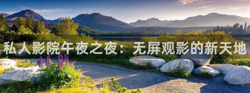 星空视频在线免费看