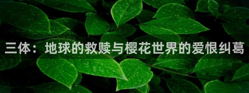 星空影视在线观看入口