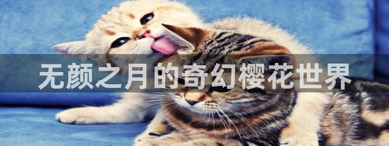 午夜影院0