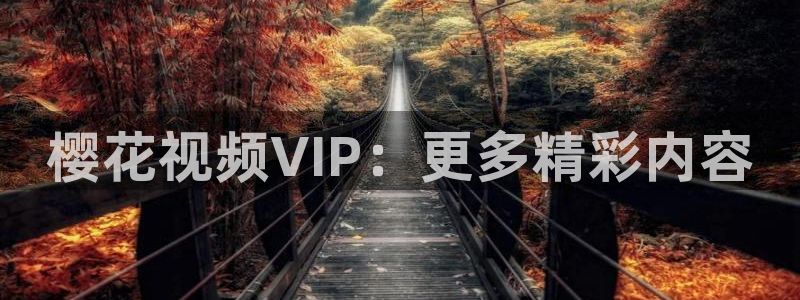 乡村爱情6午夜影院