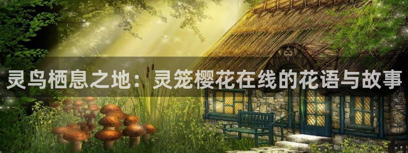 星空影视2025免费观看高清