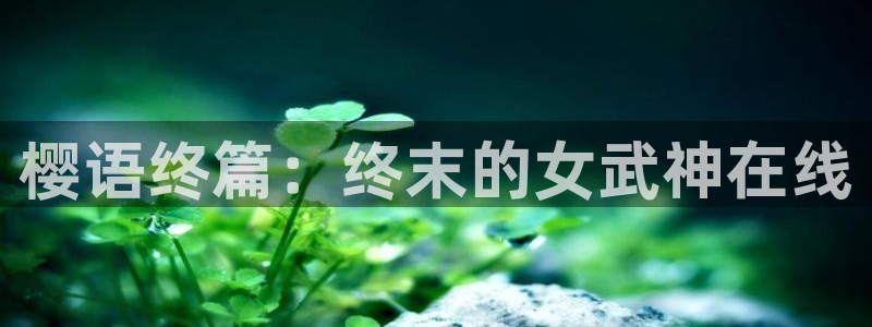 午夜影院电影电视剧在线观看