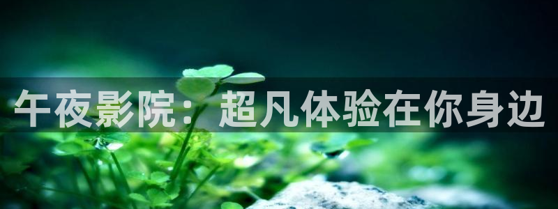 星空视频免费观看电影