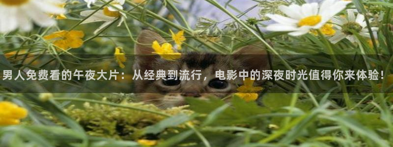 午夜影院免费版app