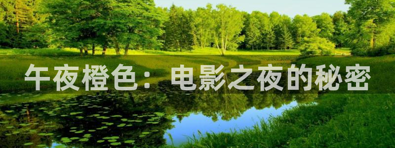 星空在线观看免费高清电影