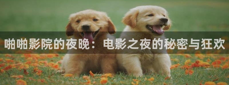 星空影视是什么