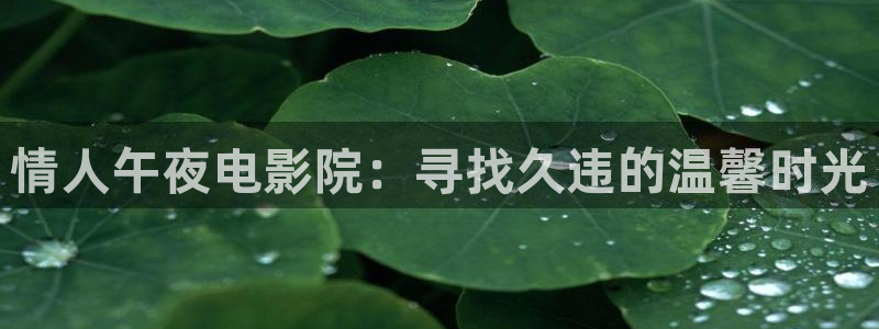 午夜影院电影免费播放