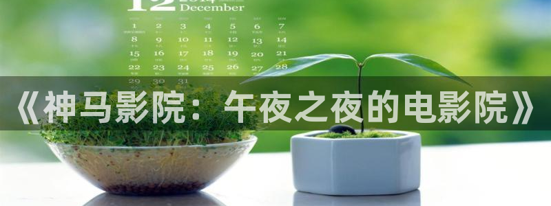 无所畏惧午夜影院