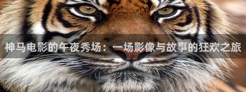 星空影视免费观看