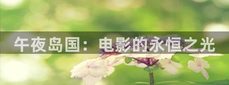 午夜影院电影在线观看免费高清炽道