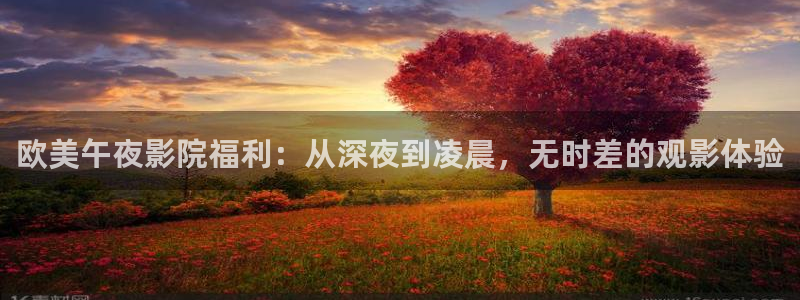 星空影视频道节目表在线