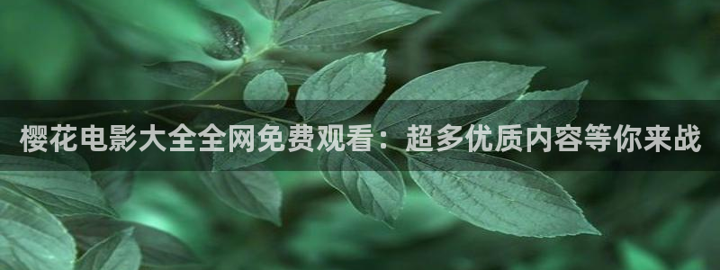 乳房与月亮免费观看星空影视