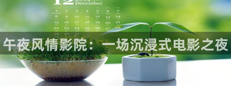 午夜影院在线手机版在线观看