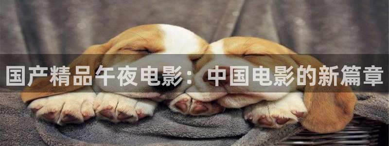 星空影视频