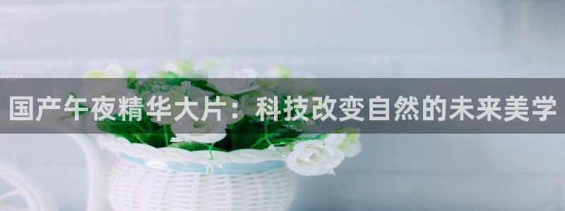 在线观看星空无限传媒