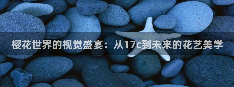 星空电视剧影院